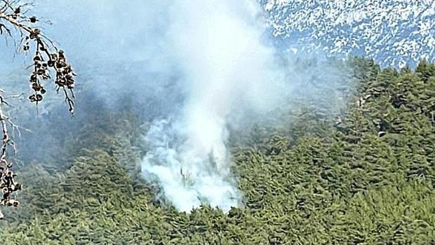 Manavgat'ta orman yangını: Ekipler müdahale edeiyor