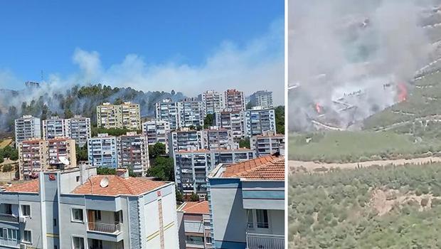 İzmir'de Aliağa ve Buca'da orman yangını