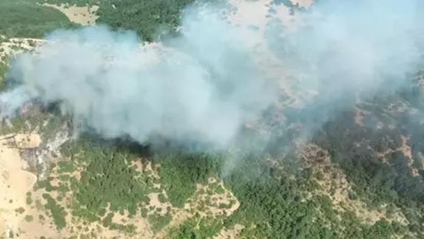  Spil Dağı'nda orman yangını