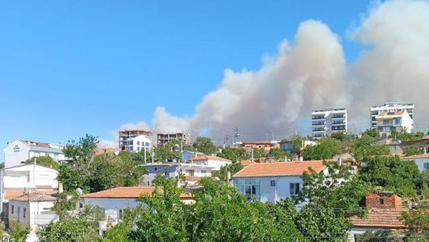 Çanakkale ve İzmir'de orman yangını: Havadan ve karadan müdahale... Elazığ'daki yangın kontrol altında