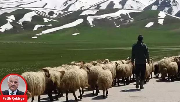 Duyunca inanamadım: 40 bin lira maaşa çoban ve garson aranıyor