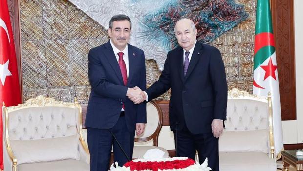 Cumhurbaşkanı Yardımcısı Yılmaz, Cezayir Cumhurbaşkanı'yla görüştü