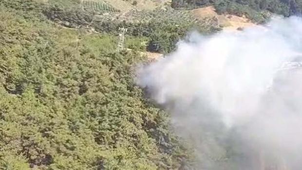 İzmir Kemalpaşa'da orman yangını: Havadan ve karadan müdahale ediliyor