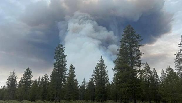 Bin 700 dönümlük alan kül oldu... Oregon eyaletinde büyük yangın