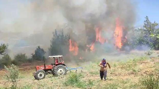 Adana Kozan'da orman yangını: Havadan ve karadan müdahale ediliyor