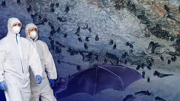 Dünyanın en ölümcül mağarası… Ebola ve Marburg virüsünün yuvası… Bir sonraki pandeminin kaynağı olabilir!