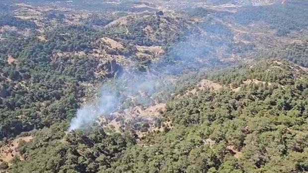 İzmir'de orman yangını: Kontrol altına alındı