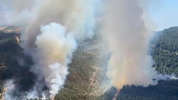 İzmir'de orman yangını: Havadan ve karadan müdahale