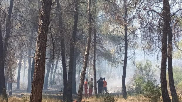 Antalya Aksu'da orman yangını! Ekipler müdahale ediyor