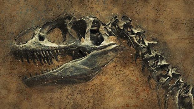 İngiltere'de bulunan dinozor fosili yeni bir türe ait