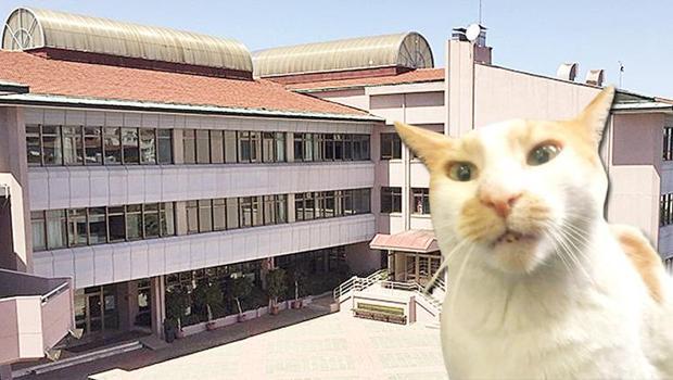 Kedi Faruk davasında öğrenci tanık olarak dinlendi: Kapıyı açık bıraksaydı dışarı çıkabilirdi
