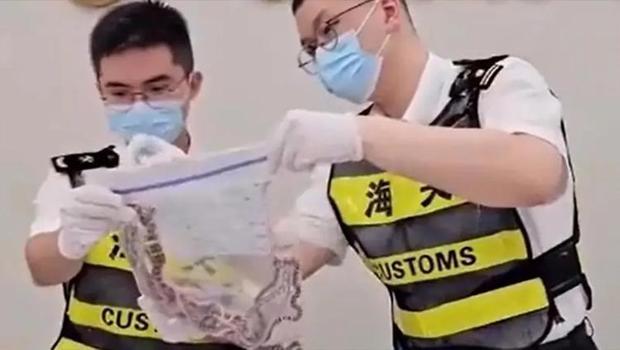 Çin'de pantolonunun içinde 100'den fazla yılanı ülkeye sokmaya çalışan bir kişi yakalandı