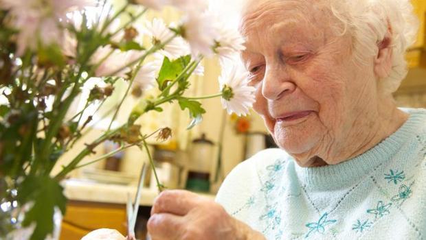 Ünlü araştırmacı anlattı: 110 yaşını sağlıkla devirmiş kişilerin 9 sırrı 'Etkisi şaşırtıcı derecede büyük'