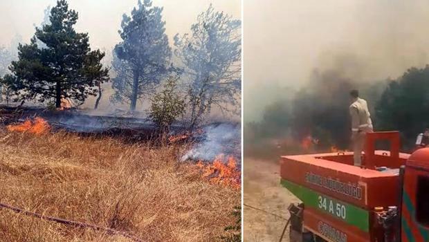 Edirne'de Bulgaristan sınırında orman yangını! Havadan ve karadan müdahale ediliyor