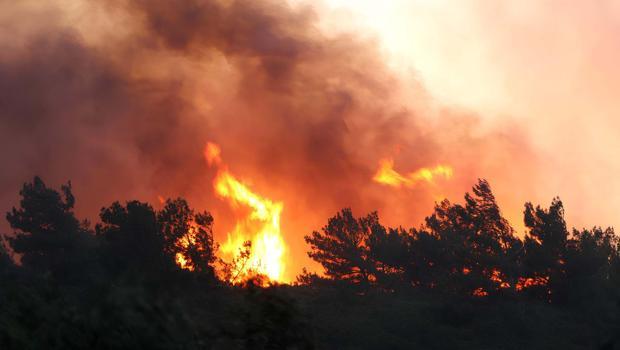 600 hektar alan zarar görmüştü... Manisa'daki yangının nedeni belli oldu