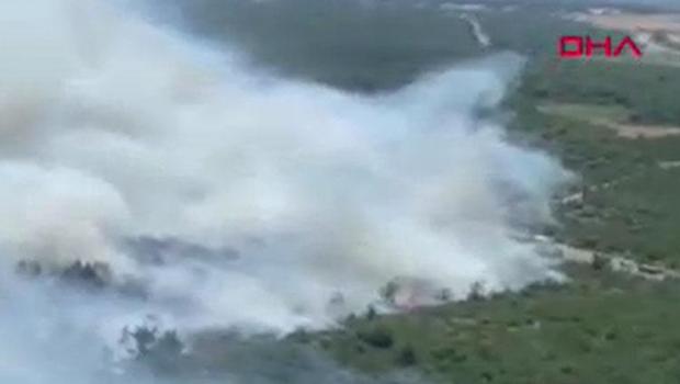 Balıkesir'de orman yangını: Ekipler müdahale ediyor