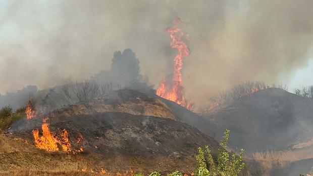 Manisa'da orman yangını... Havadan ve karadan müdahale ediliyor