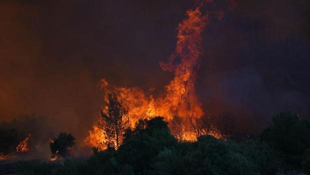 İzmir'de orman yangını! Uçak seferlerinde aksamalar yaşanıyor