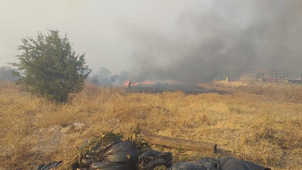 Foça'daki orman yangını kontrol altına alındı