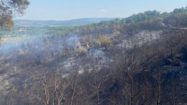Çanakkale Ayvacık'taki orman yangını ikinci gününde: Havadan ve karadan müdahale sürüyor