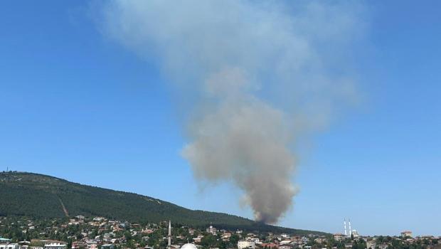 İstanbul'da Aydos ormanı yanıyor