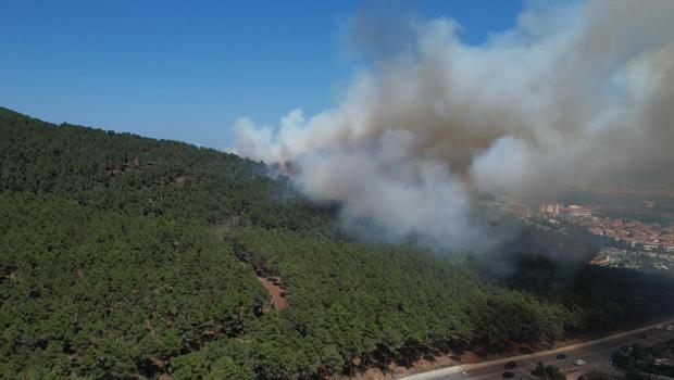 İstanbul Valiliği açıkladı! Aydos Ormanı'ndaki yangın kontrol altında