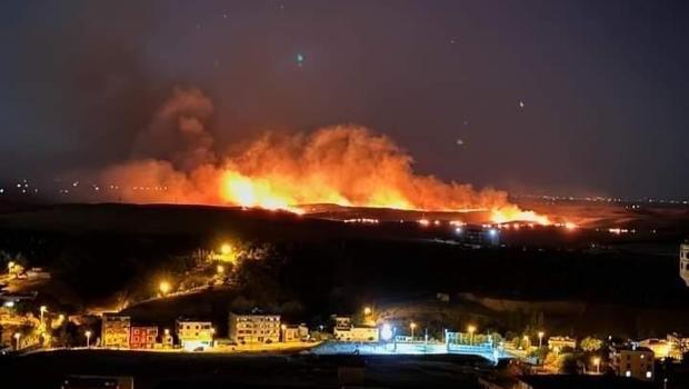 Diyarbakır’daki anız yangını söndürüldü