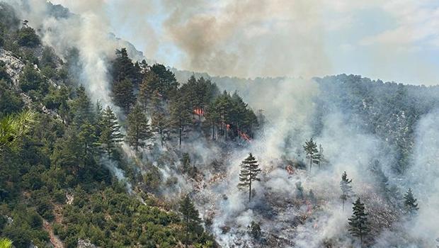 Adana'da orman yangını! Havadan ve karadan müdahale