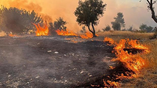 Kahramanmaraş, Antalya ve Yalova'da orman yangını! Ekipler müdahale ediyor