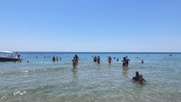 Marmara Denizi'nde müsilaj tehlikesi! Uzman isim uyardı: Su sıcaklığı 2,5 derece arttı