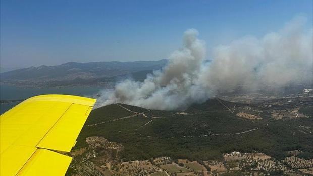 Urla’da yine orman yangını: 2 site tedbir amaçlı tahliye edildi