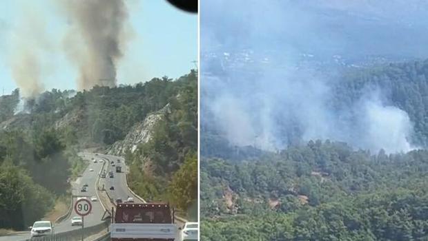 Muğla'da orman yangını! Havadan ve karadan müdahale ediliyor