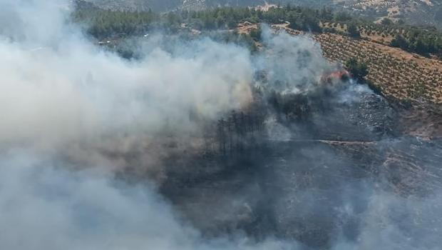 Hatay’da orman yangını! Havadan ve karadan müdahale ediliyor