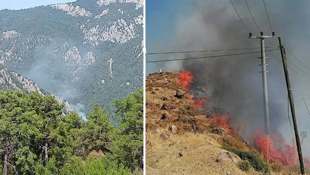 Kemer ve Bodrum'da orman yangını