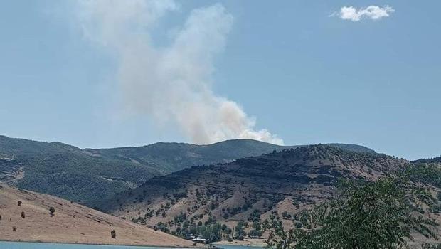 Tunceli'de orman yangını! Askeri birliklerden destek alınacak