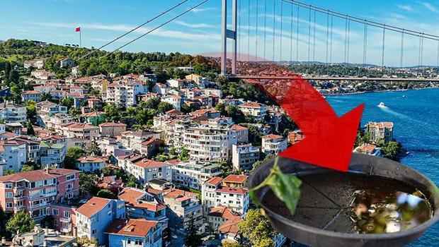 İstanbul'da iki ilçede yaygınlaştı! Birçok hastalığa neden oluyor... Uzmanlar uyardı: Balkon ve bahçenize su bırakmayın