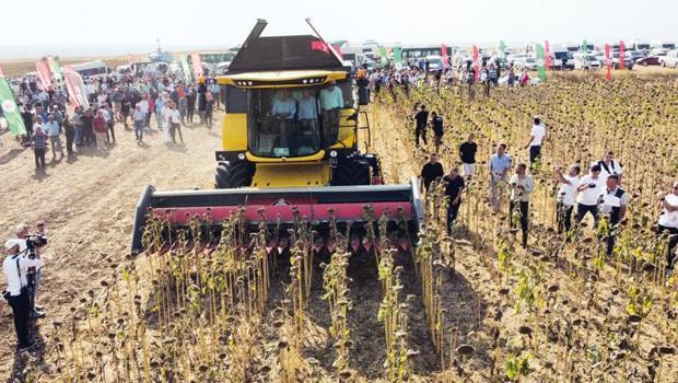 Kuraklık verimi düşürdü... Ayçiçek üreticisine destek çağrısı