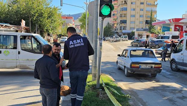 Trafik lambasındaki elektrik kaçağı: Su içen köpek akıma kapılıp öldü
