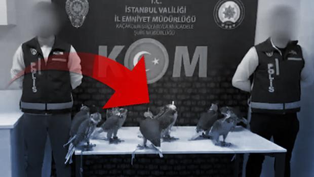 Arap ülkelerinde tanesini 100 bin dolara satacaklardı... Türkiye'den çıkarmaya çalışırken yakalandılar! Zenginliğin simgesi olarak kabul ediliyor