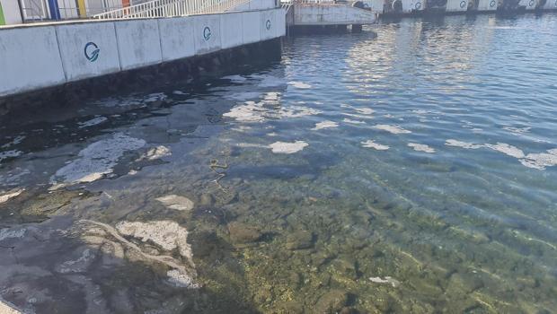 Çanakkale Boğazı'nda müsilaj! Uzman isim: Durumu yakından takip ediyoruz