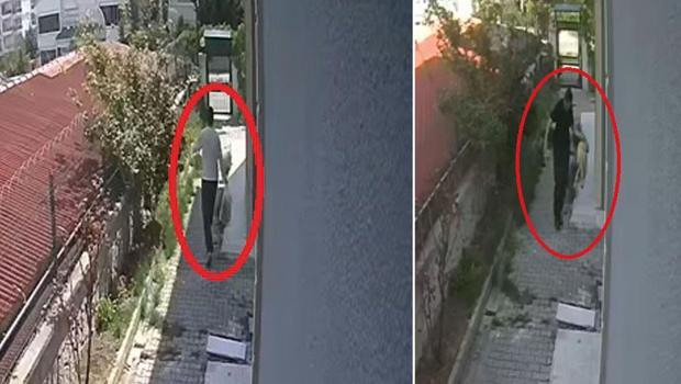 Köpekleri sahiplenip evde öldürdü
