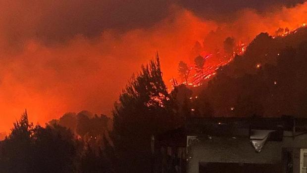 İsrail'de orman yangınları devam ediyor: 11 ayrı nokta alevlere teslim oldu