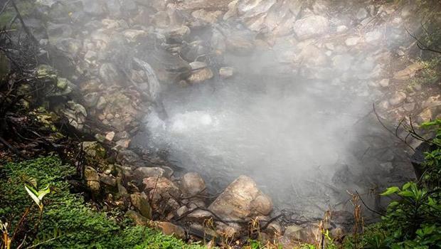 Ağaçlardaki ipucu volkanlar patlamadan önce anlaşılmasını sağlıyor: NASA uyduları tespit etti