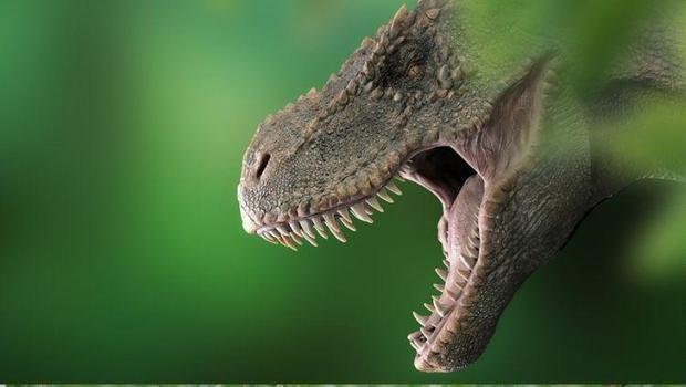 86 milyon yıllık yeni dinozor türü keşfedildi