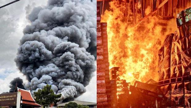 Kağıt fabrikasında yangın faciası! 8 kişi öldü, 26 kişi yaralandı