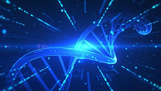 Genetikte yeni bir çağ başlıyor: “Sentetik İnsan Genomu” projesi başladı