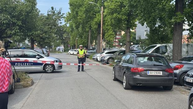 Avusturya'da silahlı saldırı: Saldırgan kasaba merkezinde uzun namlulu silahla ateş açtı