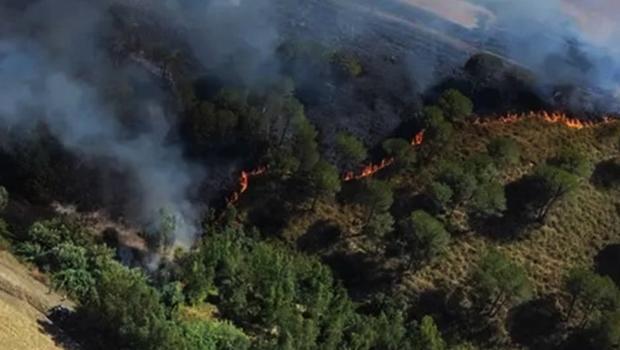 İtalya'da Sardinya Adası alevlere teslim: 20 noktada orman yangını çıktı
