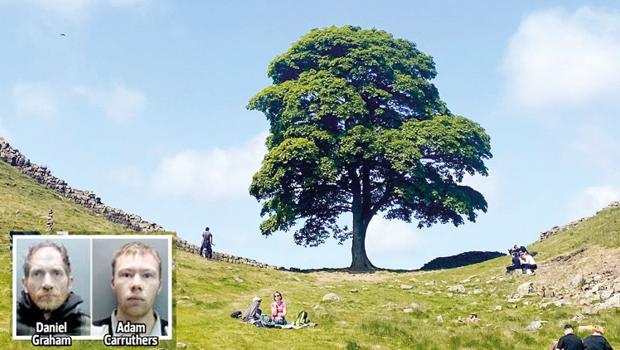 RobIn Hood'un kemikleri sızladı