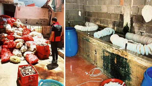 Çok sayıda kişi iştahla yiyor! Üretilen işletmedeki görüntüler mide bulandırdı